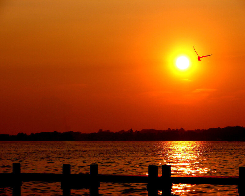 Sunset over Water — Orange, Serene, Photograph, Bird, Pier