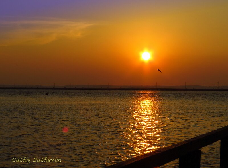 Sunset over Water — Orange, Serene, Photograph, Bird, Sun, Railing