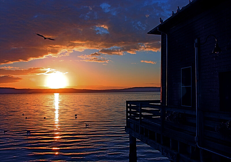 Sunset over Water — Orange, Serene, Photograph, Bird