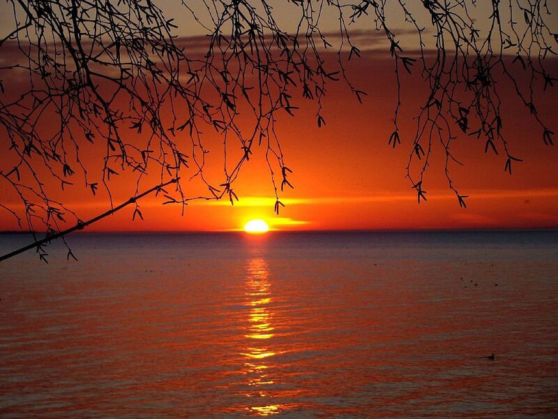 Sunset over Water — Orange, Serene, Photograph, Branches