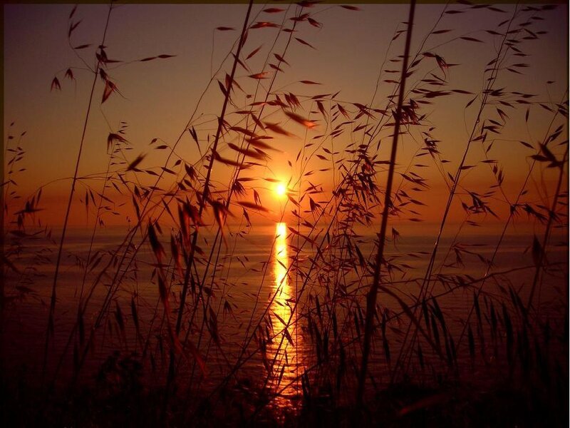 Sunset over Water — Orange, Serene, Photograph, Grass, Sky, Reflection, Red