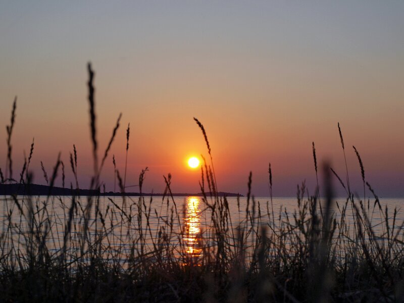 Sunset over Water — Orange, Serene, Photograph, Grass, Sun