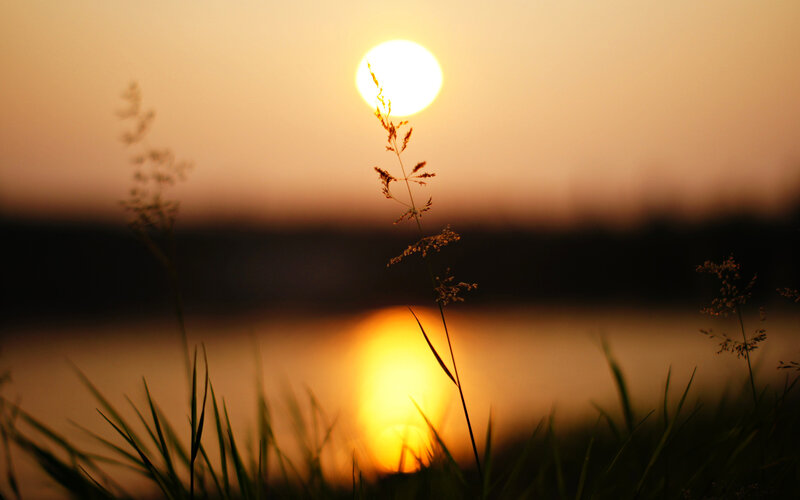 Sunset over Water — Orange, Serene, Photograph, Grass