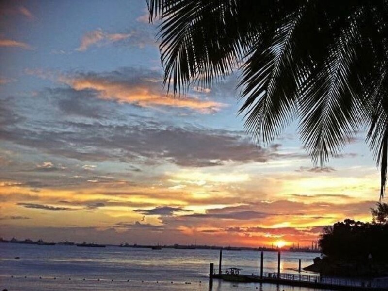Sunset over Water — Orange, Serene, Photograph, Palm Tree, Clouds