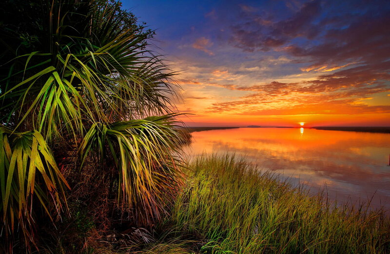 Sunset over Water — Orange, Serene, Photograph, Palm Tree, Grass