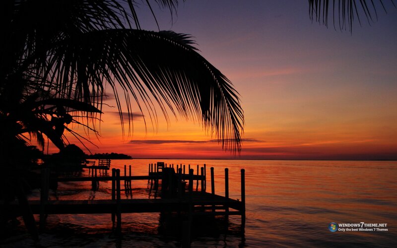Sunset over Water — Orange, Serene, Photograph, Palm Tree