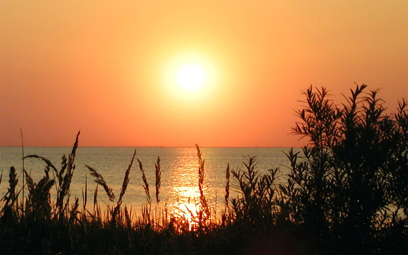 Sunset over Water — Orange, Serene, Photograph, Plants