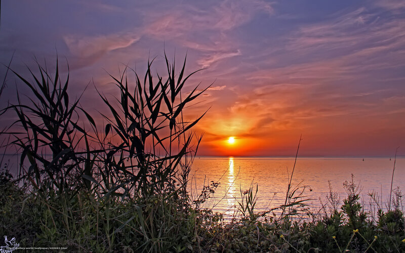 Sunset over Water — Orange, Serene, Photograph, Reeds