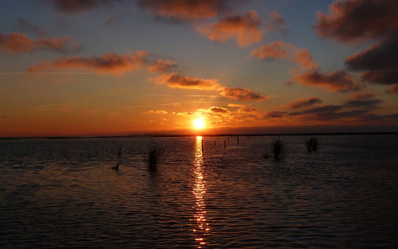 Sunset over Water — Orange, Serene, Photograph, Sun, Clouds, Plants