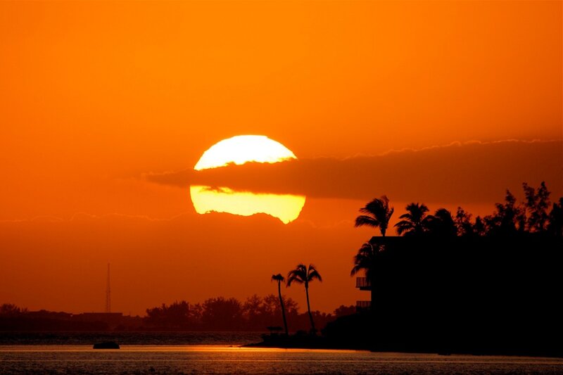 Sunset over Water — Orange, Serene, Photograph, Sun, Palm Trees