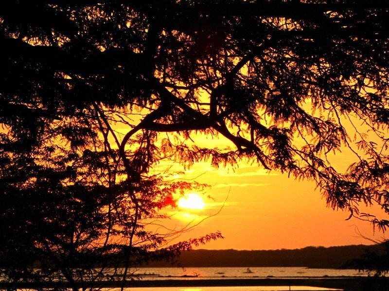 Sunset over Water — Orange, Serene, Photograph, Tree, Sun