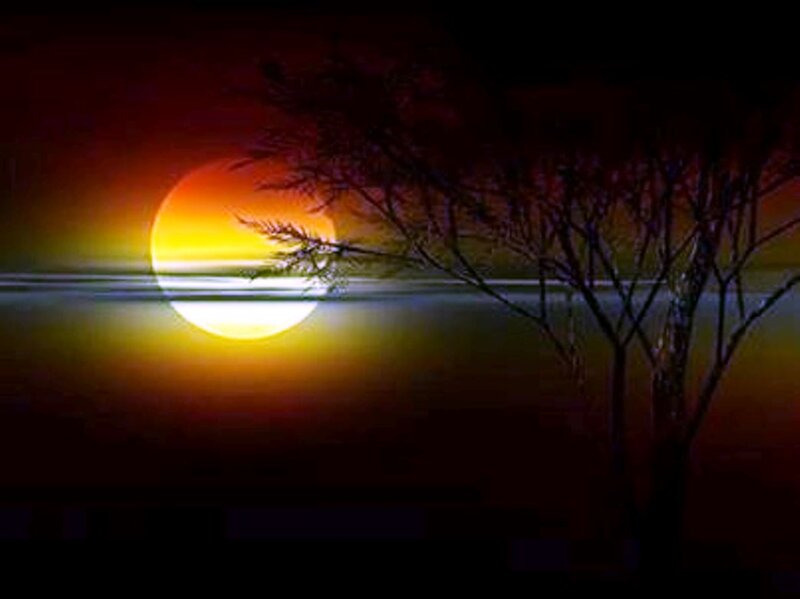 Sunset over Water — Orange, Serene, Photograph, Tree