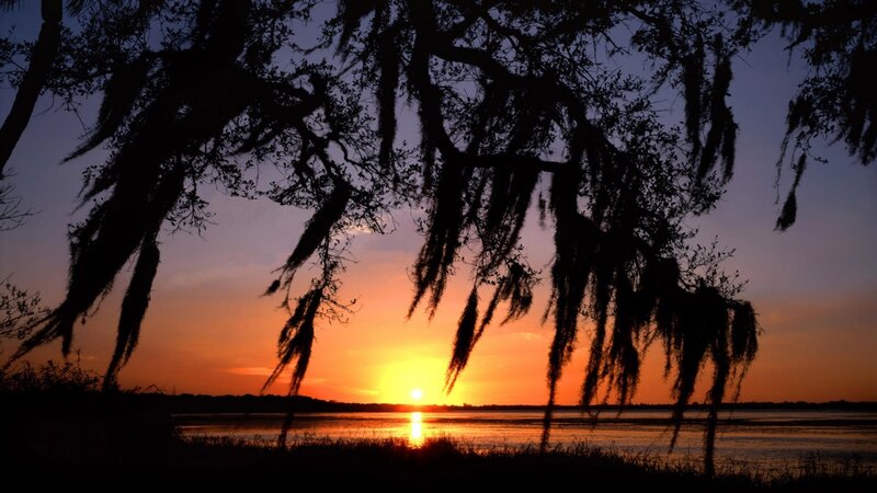 Sunset over Water — Orange, Serene, Photograph, Trees, Moss
