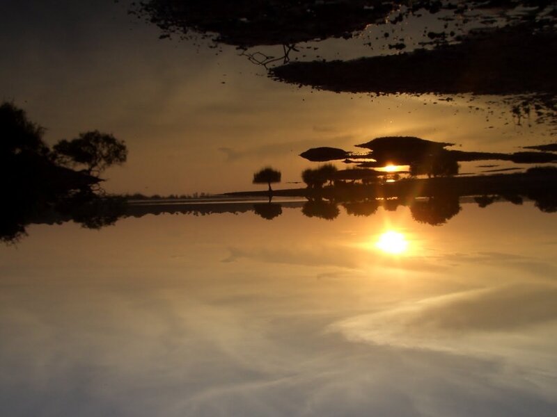 Sunset over Water — Orange, Serene, Photograph, Trees, Sun