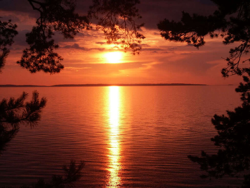 Sunset over Water — Orange, Serene, Photograph, Trees