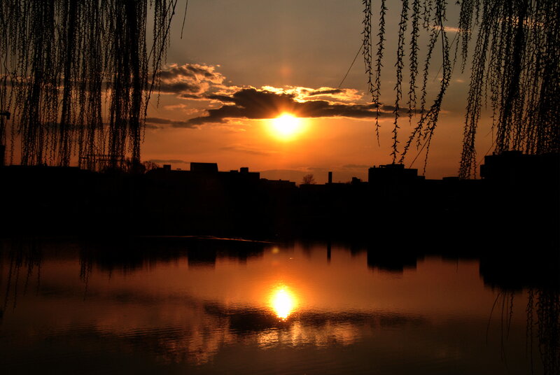 Sunset over Water — Orange, Serene, Photograph, Willow Trees