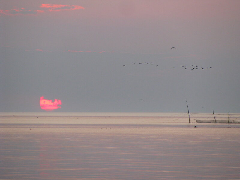 Sunset over Water — Pink, Calm
