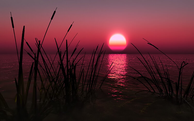 Sunset over Water — Pink, Serene, Digital Art, Reeds
