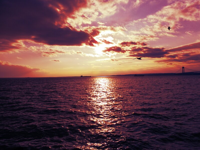 Sunset over Water — Purple, Dramatic, Photograph, Birds