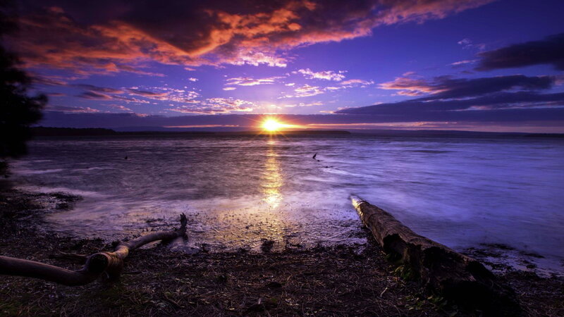 Sunset over Water — Purple, Dramatic, Photograph, Driftwood