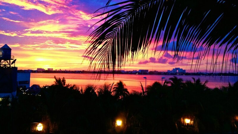 Sunset over Water — Purple, Dramatic, Photograph, Palm Trees