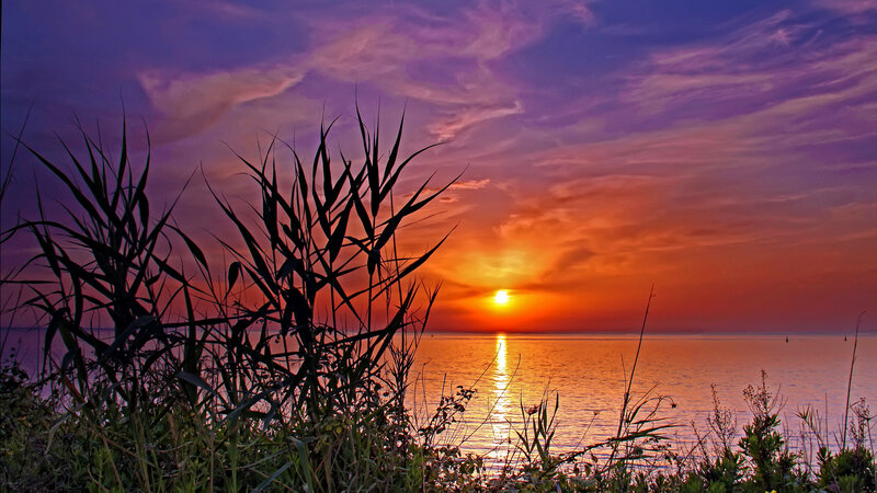 Sunset over Water — Purple, Dramatic, Photograph, Reeds