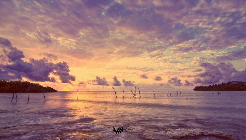 Sunset over Water — Purple, Serene, Photograph, Clouds, Trees, Sticks
