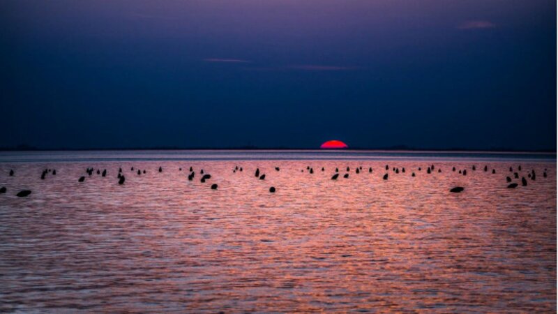 Sunset over Water — Purple, Serene, Photograph, Sun, Buoys