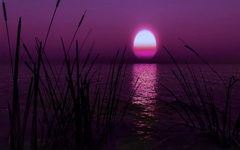 Sunset over Water — Purple, Serene, Photograph, Sun, Reeds