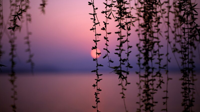 Sunset over Water — Purple, Serene, Photograph