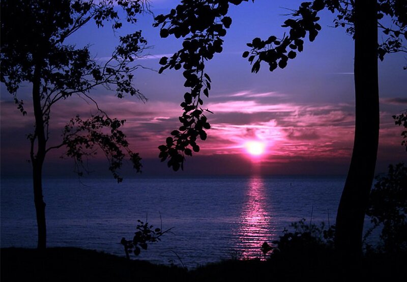 Sunset over Water — Purple, Serene, Photograph, Trees, Sky