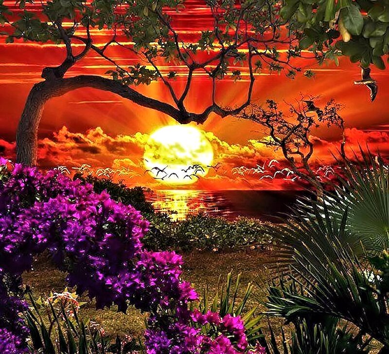 Sunset over Water — Red, Dramatic, Digital Art, Flowers