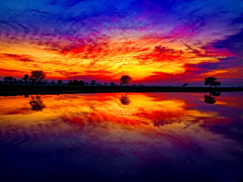Sunset over Water — Red, Dramatic, Photograph, Sky, Trees