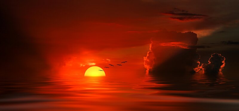 Sunset over Water — Red, Dramatic, Photograph, Sun, Birds