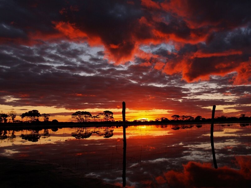 Sunset over Water — Red, Dramatic, Photograph, Trees, Fence