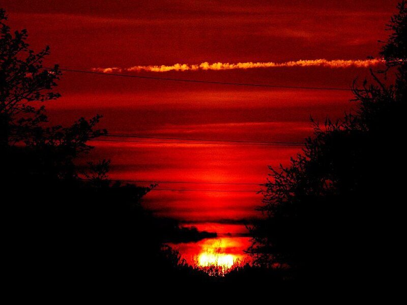 Sunset over Water — Red, Dramatic, Photograph, Trees