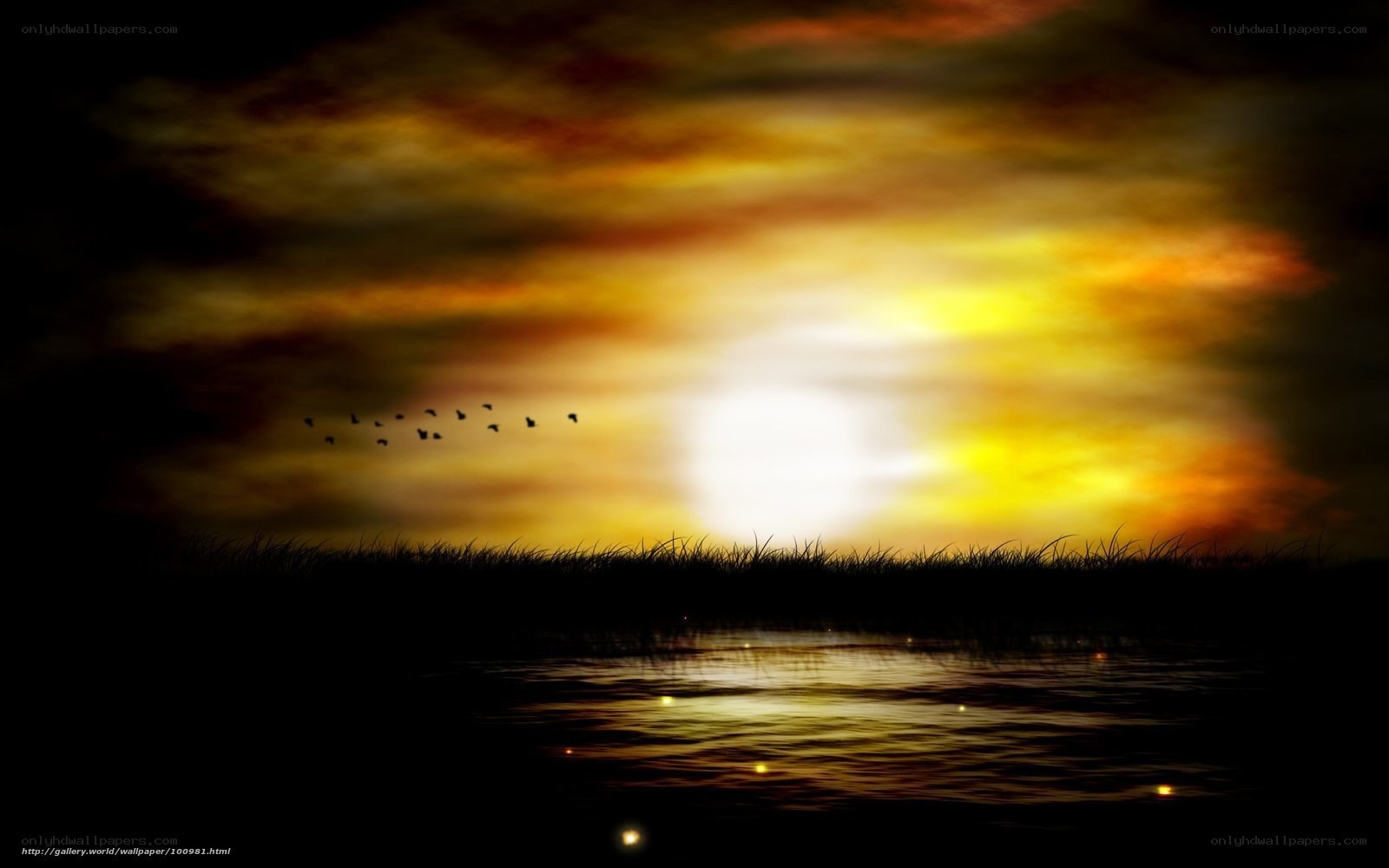 sunset over water with birds