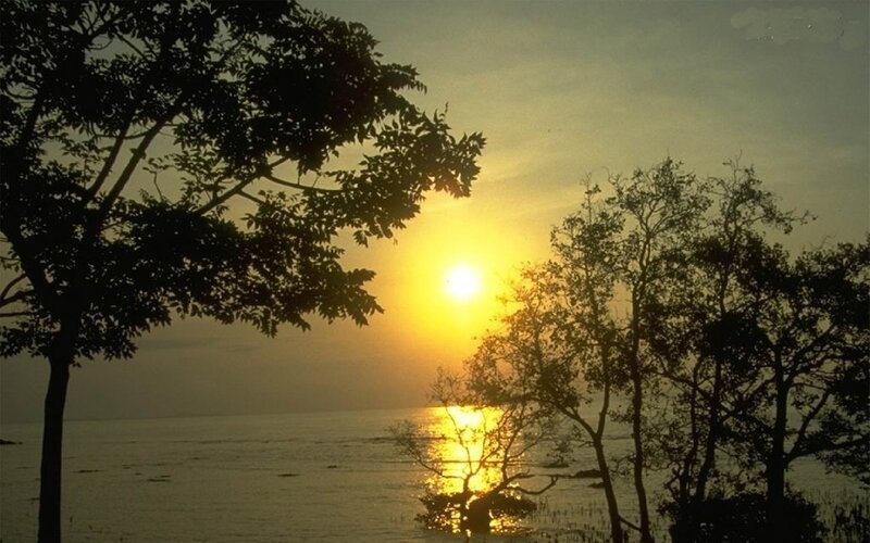 Sunset over Water — Yellow, Serene, Photograph, Trees