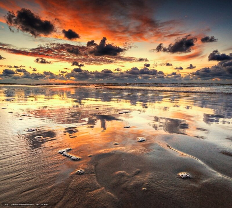 Sunset over Wet Beach — Orange, Dramatic, Photograph, Clouds, Ocean