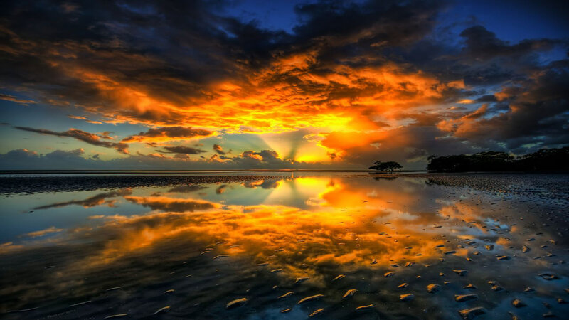 Sunset over Wet Beach — Orange, Dramatic, Photograph, Clouds, Reflection, Tree