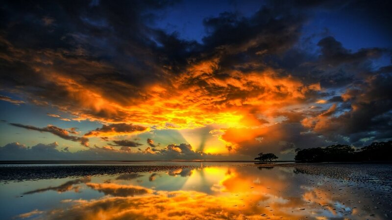 Sunset over Wet Beach — Orange, Dramatic, Photograph, Clouds, Reflection, Trees, Blue