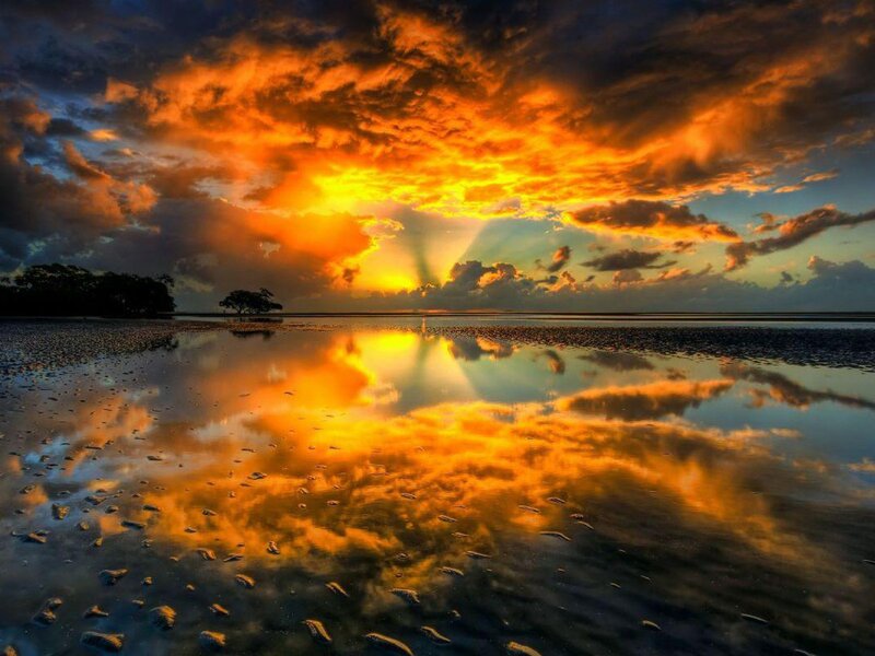 Sunset over Wet Beach — Orange, Dramatic, Photograph, Clouds, Reflection, Trees