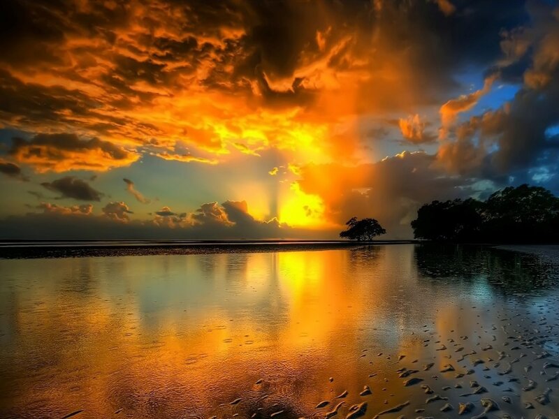 Sunset over Wet Beach — Orange, Dramatic, Photograph, Clouds, Trees, Reflection
