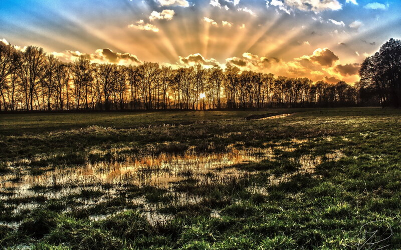 Sunset over Wet Field