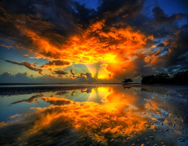 Sunset over Wet Sand — Orange, Dramatic, Photograph, Clouds, Reflection, Tree