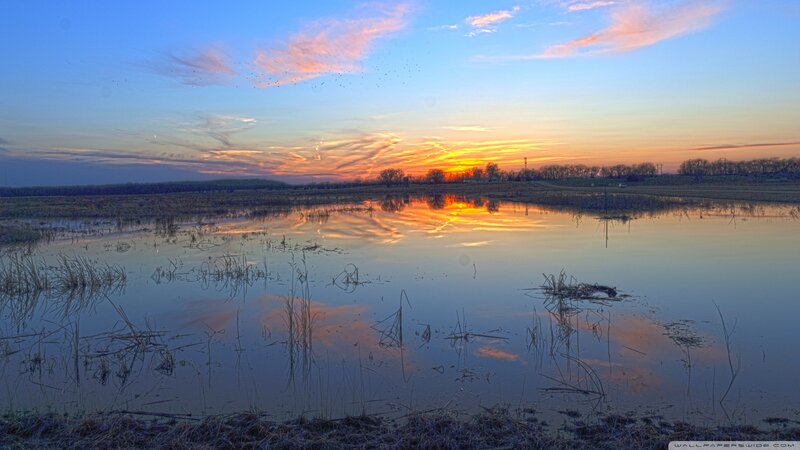 Sunset over Wetland — Blue, Serene, Photograph