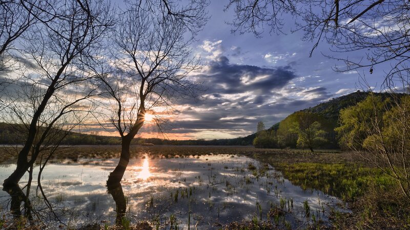 Sunset over Wetland — Blue, Serene, Photograph, Trees