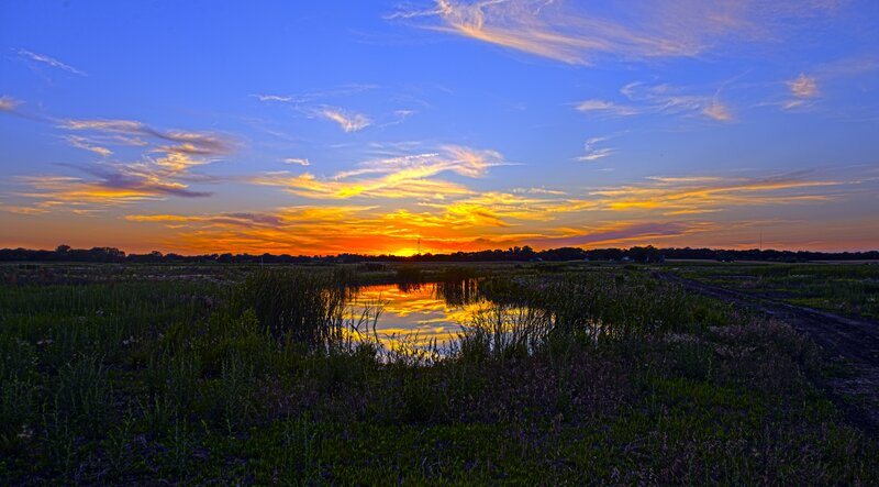 Sunset over Wetland — Blue, Serene
