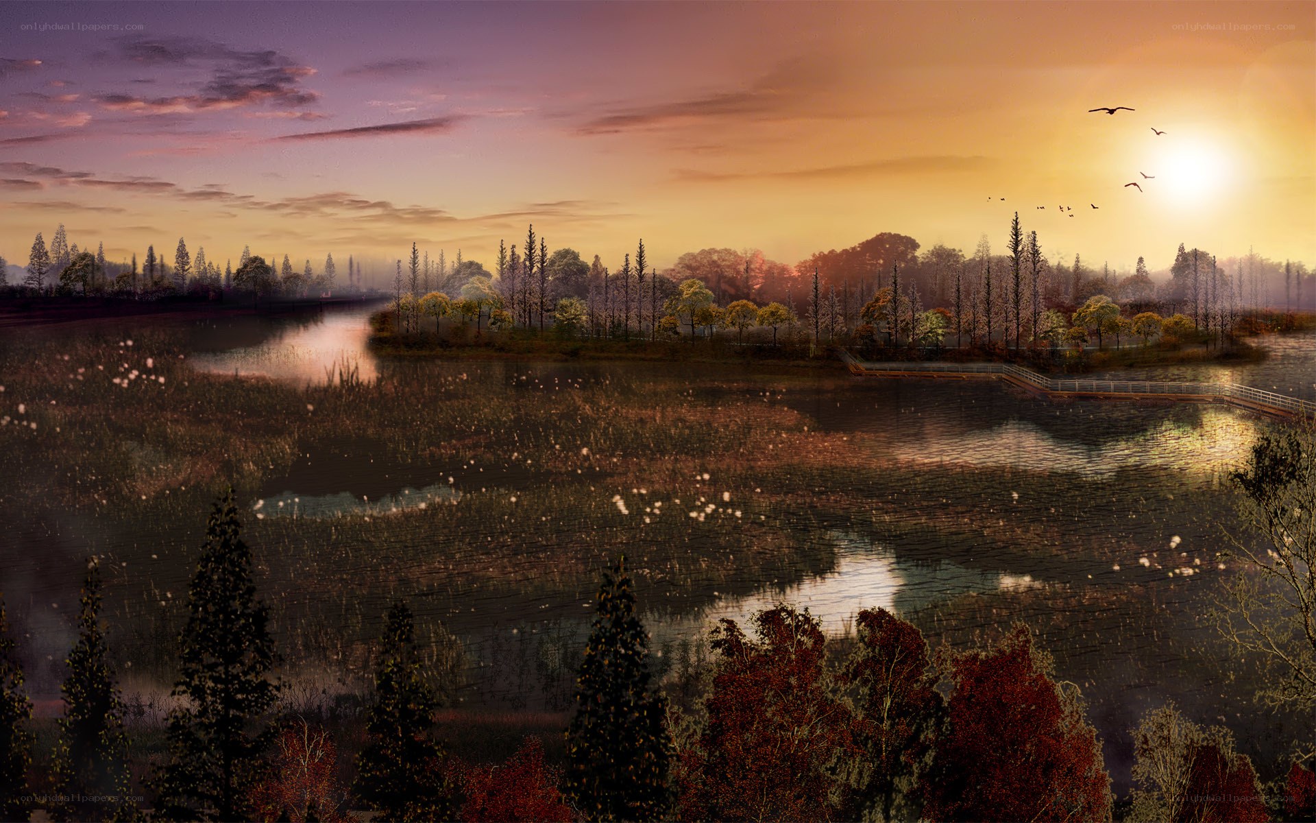 Sunset over wetland landscape