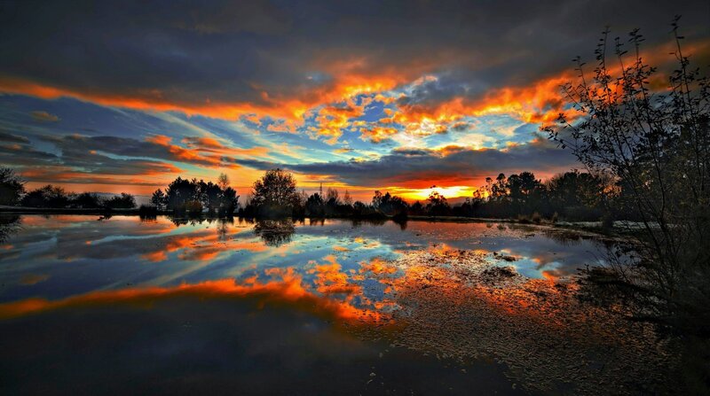 Sunset over Wetland — Orange, Dramatic, Photograph, Clouds, Trees
